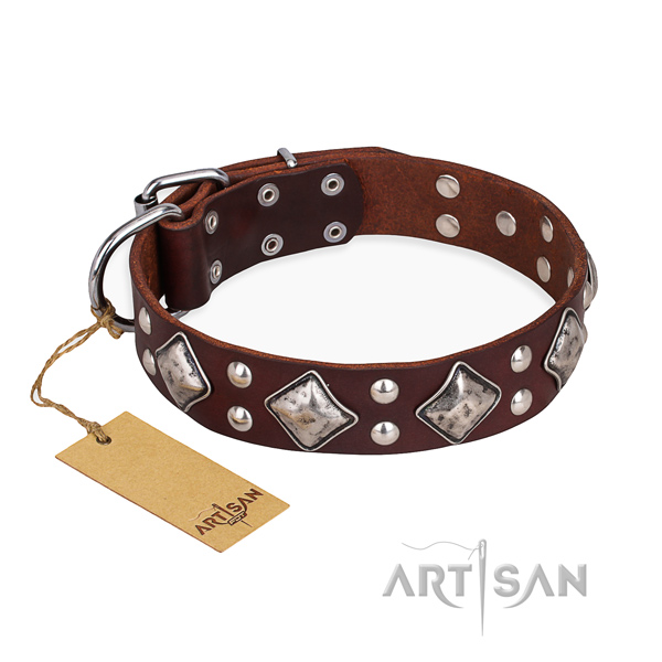 Fancy walking top quality dog collar with durable hardware
