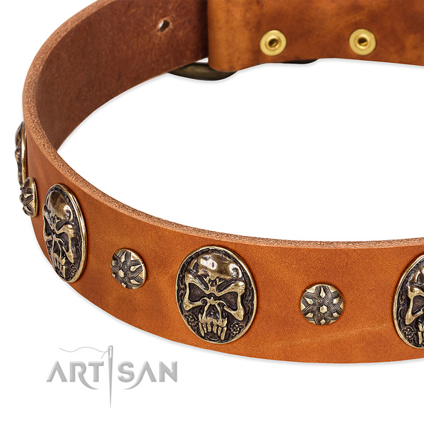 Rust resistant hardware on full grain natural leather dog collar for your dog