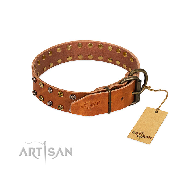 Stylish walking full grain leather dog collar with significant embellishments