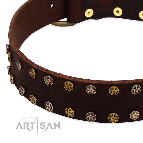 Daily use full grain natural leather dog collar with top notch embellishments