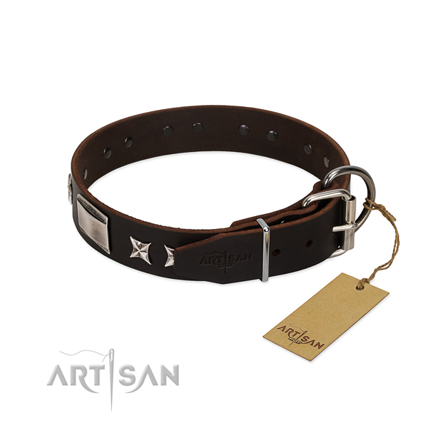 Trendy collar of full grain leather for your handsome dog