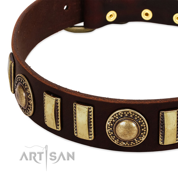 Best quality full grain leather dog collar with strong fittings