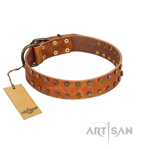 Stylish walking top notch natural leather dog collar with decorations