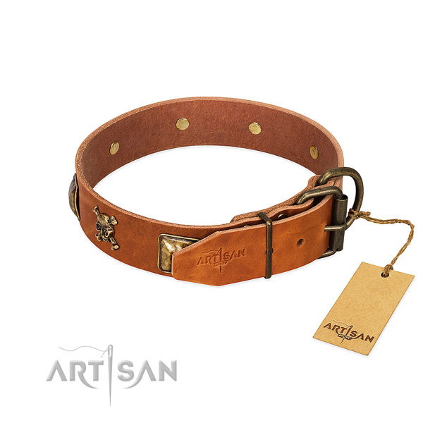 Incredible full grain leather dog collar with strong decorations