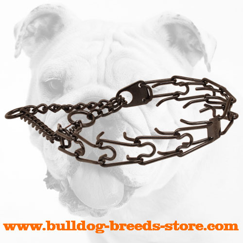 Black Dog Prong Collar Made of Stainless Steel