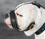 Best muzzle for american bulldog best sale