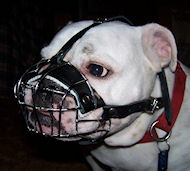 Anti-Barking Felt Padded Bulldog Wire Basket Muzzle Anti-Barking Felt Padded Bulldog Wire Basket Muzzle