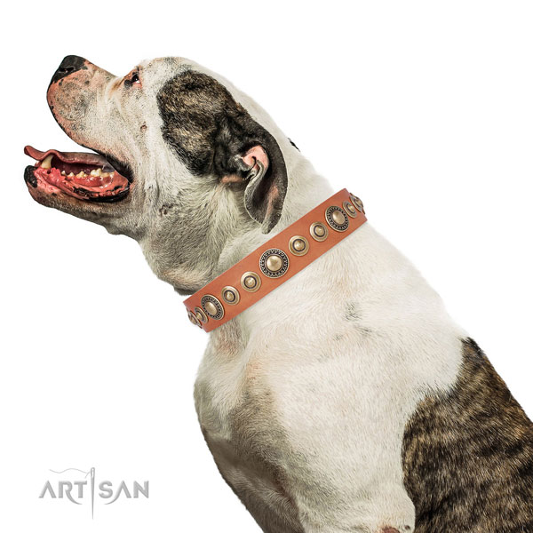 Rust-proof buckle and D-ring on leather dog collar for stylish walking