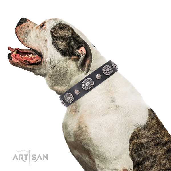 Rust resistant buckle and D-ring on genuine leather dog collar for stylish walks
