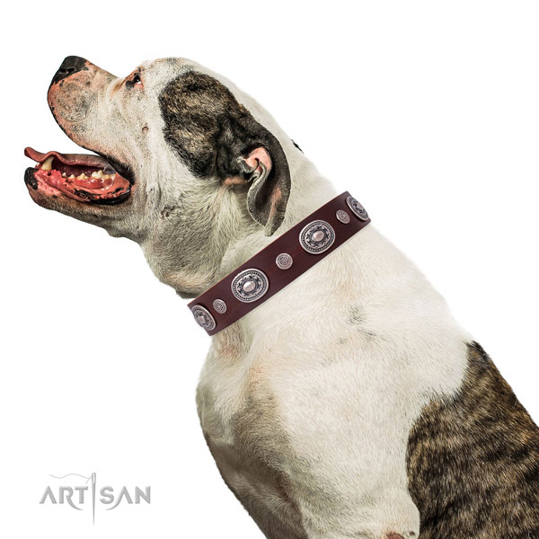 Rust resistant buckle and D-ring on natural leather dog collar for walking in style