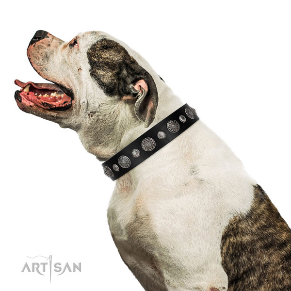 Natural leather collar with durable D-ring for your attractive four-legged friend