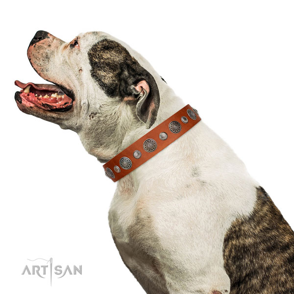 Decorated full grain genuine leather dog collar with rust resistant D-ring