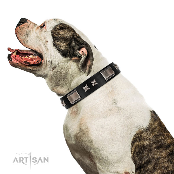 Stylish walking best quality full grain natural leather dog collar with embellishments