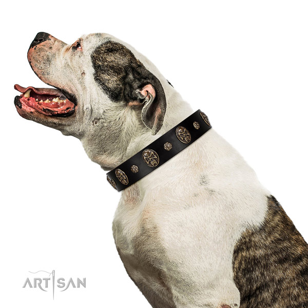 Daily walking dog collar of genuine leather with top notch decorations