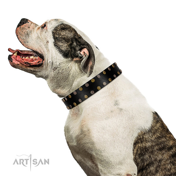 Fashionable full grain genuine leather dog collar with rust resistant studs
