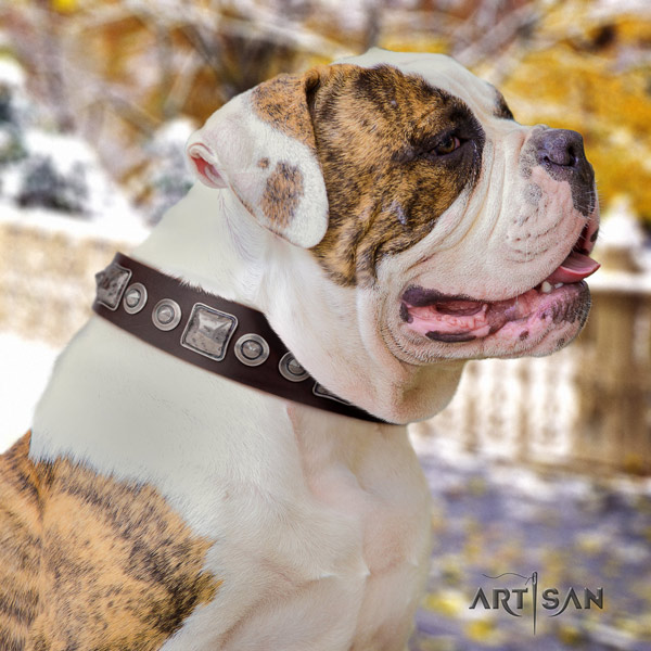 American Bulldog decorated full grain leather dog collar with stylish studs