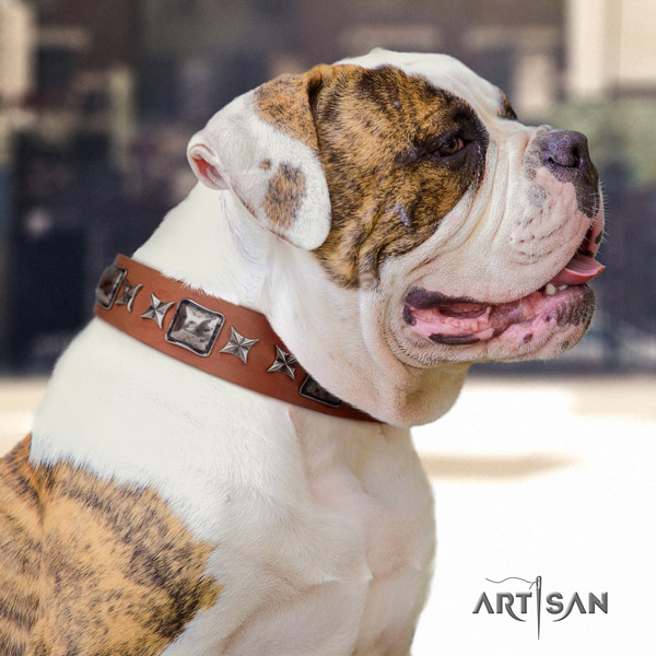 American Bulldog adorned full grain leather dog collar with exquisite decorations