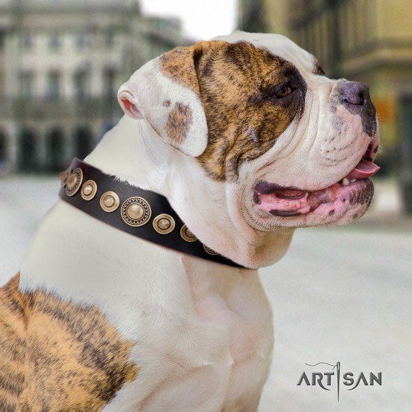 American Bulldog decorated full grain leather dog collar with fashionable decorations