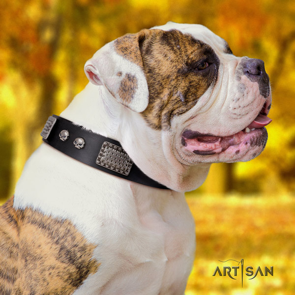 American Bulldog decorated genuine leather dog collar with exquisite adornments