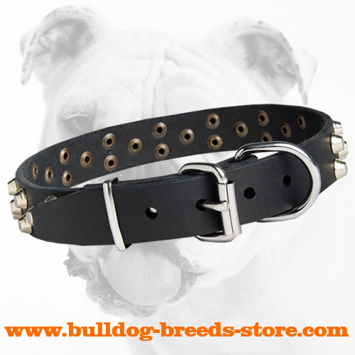 Strong Leather Dog Collar of a Fancy Design for Bulldog