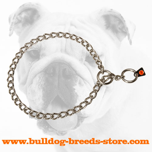 Durable Stainless Steel Bulldog Choke Collar