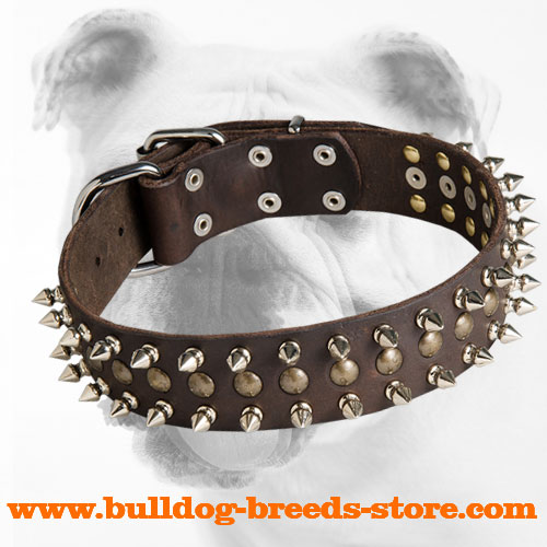 Designer Walking Leather Bulldog Collar with Spikes and Studs