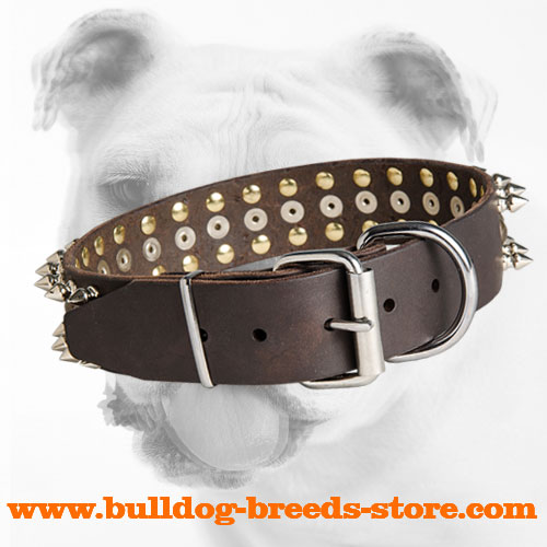 Fashion Training Leather Bulldog Collar with Rust Proof Buckle