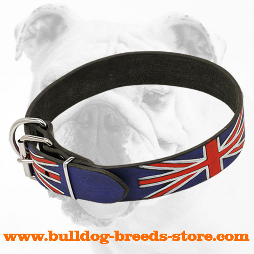 Exclusive Hand-Painted Leather Bulldog Collar with Strong Buckle 