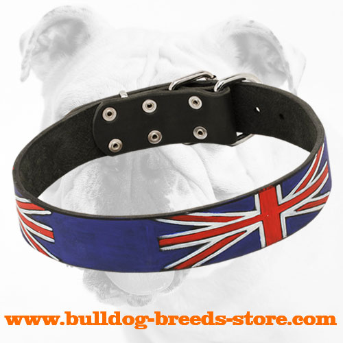 Extraordinary Painted Leather Bulldog Collar for Walking