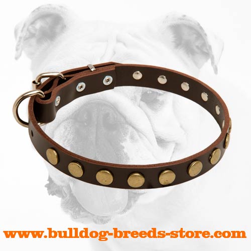 Durable Fashionable Adjustable Walking Leather Dog Collar for Bulldog with Circles