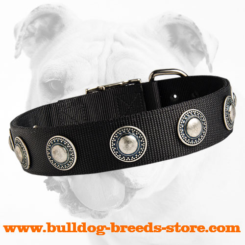 Training Nylon Dog Collar for Bulldog with Conchos