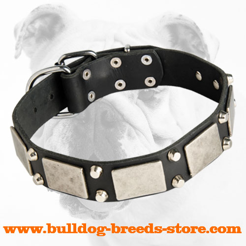 Fashion Training Leather Bulldog Collar with Studs and Plates