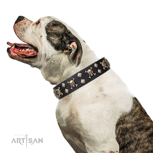 Bulldog awesome genuine leather dog collar for handy use