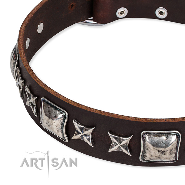 Leather dog collar with adornments for walking