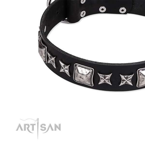 Full grain natural leather dog collar with exquisite studs