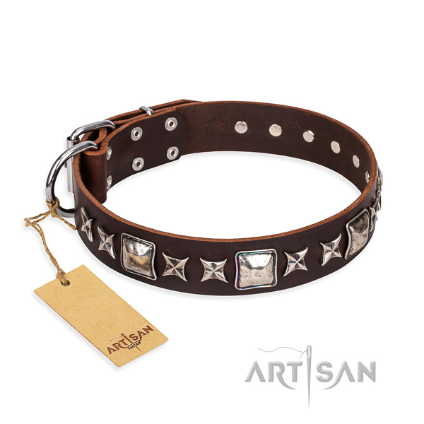 Amazing leather dog collar for everyday use