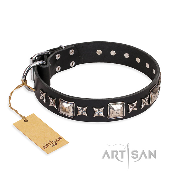 Awesome full grain leather dog collar for daily use