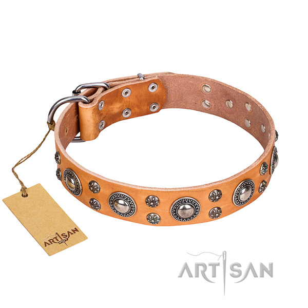 Unique leather dog collar for handy use