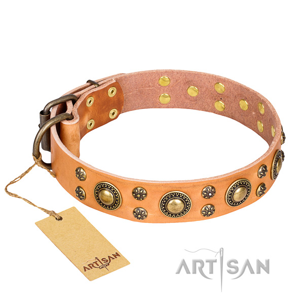 Inimitable full grain leather dog collar for stylish walking