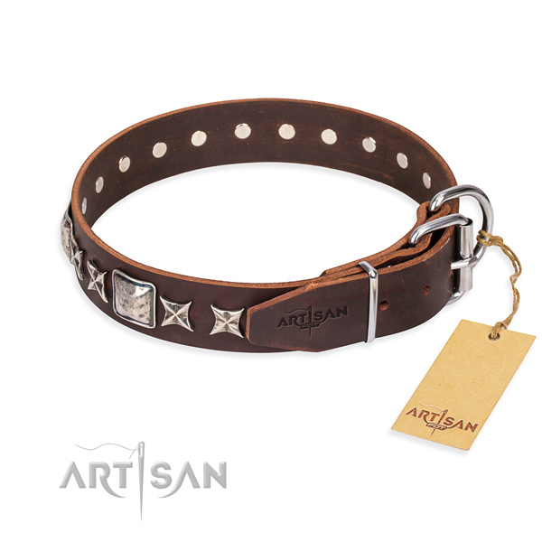 Stylish walking full grain leather collar with embellishments for your four-legged friend