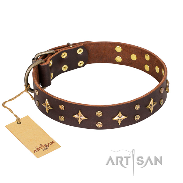 Incredible full grain leather dog collar for walking