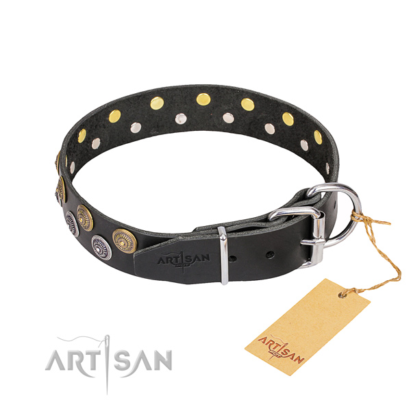 Walking leather collar with embellishments for your dog