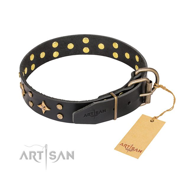 Everyday walking leather collar with embellishments for your canine