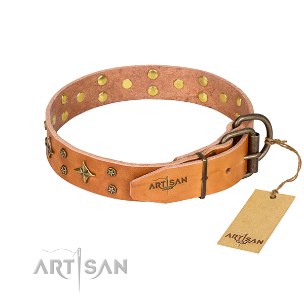 Daily use leather collar with adornments for your canine