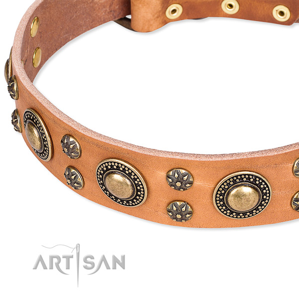 Leather dog collar with amazing studs