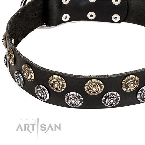 Natural genuine leather dog collar with exceptional  adornments