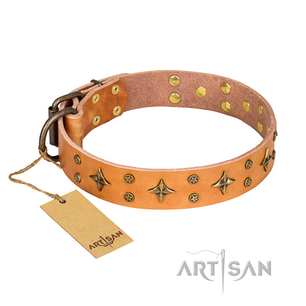 Significant full grain leather dog collar for stylish walking