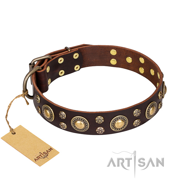 Impressive genuine leather dog collar for stylish walking