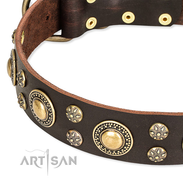 Stylish walking leather collar with corrosion resistant buckle and D-ring