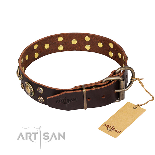 Stylish walking genuine leather collar with studs for your doggie